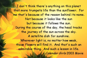 Quotes About Sunflowers