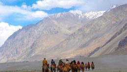 Camel safari in Nubra valley