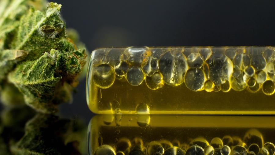 Medical Oil Cannabis | Image Credit: Konrad / adobe.stock.com 