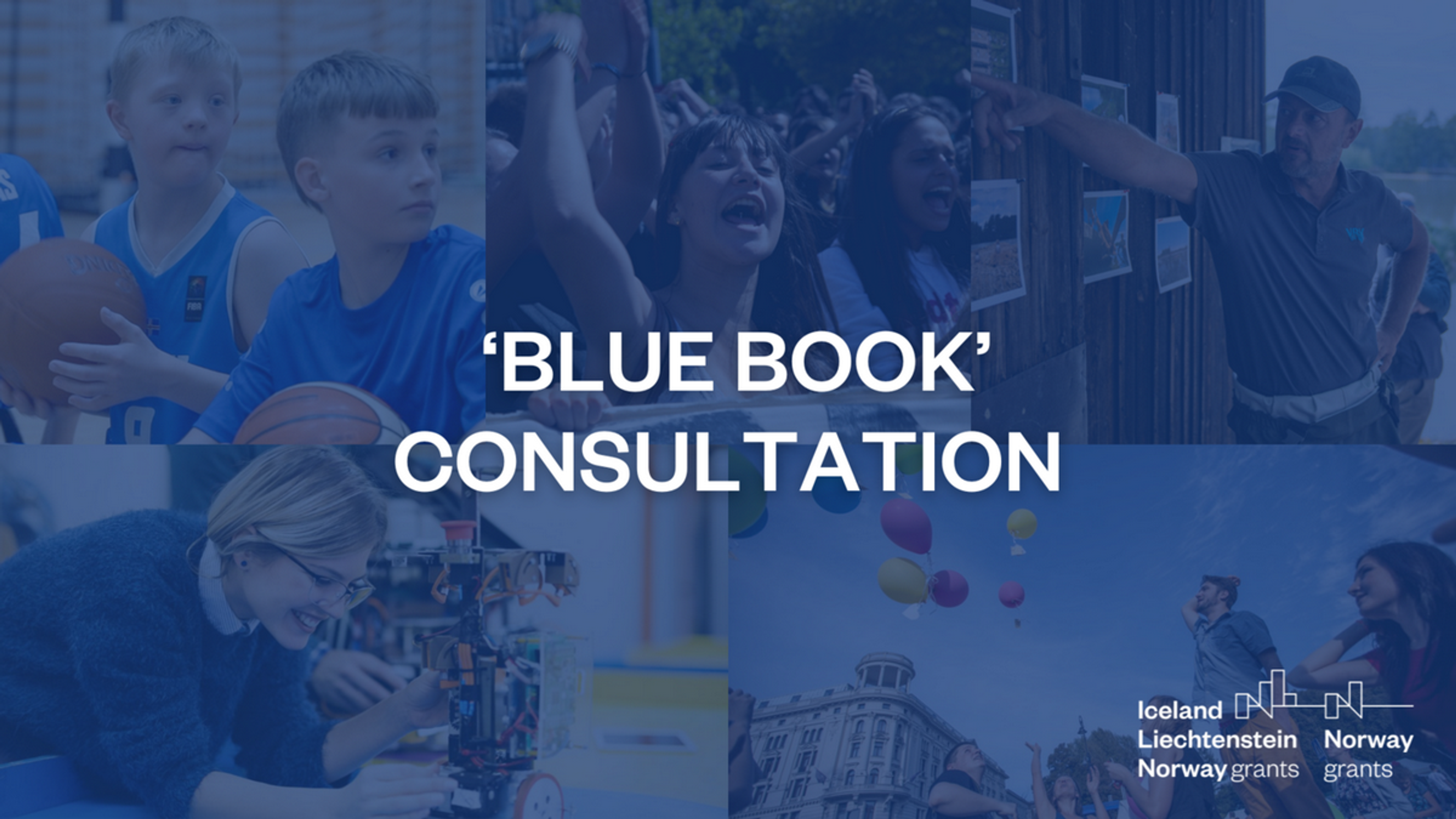 A photo with the text "Blue book consultation"