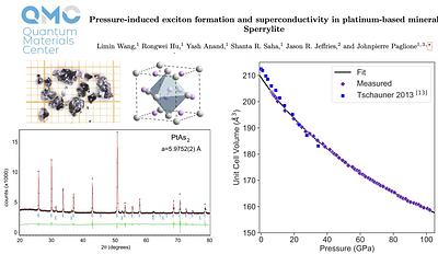 Pressure-induced exciton formation and superconductivity in
  platinum-based mineral Sperrylite