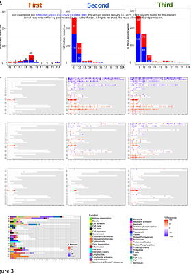 Temporal Dynamics of Transcriptional Responses to Repeated mRNA Vaccination: Insights from Third Dose Profiling