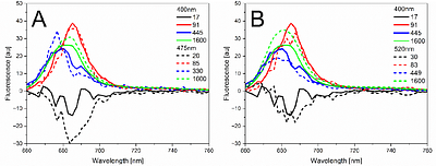 Antarctic photosynthesis: energy transfer and charge separation in the diatom Chaetoceros Simplex