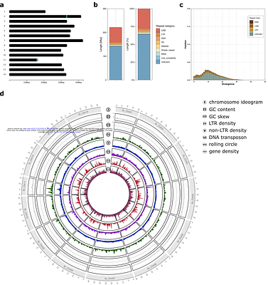 A major update of the genome assembly of Eri silkmoth, Samia ricini.