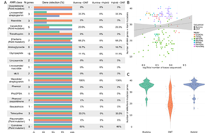 Influence of Sequencing Technology on Pangenome-level Analysis and Detection of Antimicrobial Resistance Genes in ESKAPE Pathogens