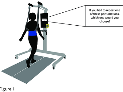 Perceived risk of forward versus backward balance disturbances while walking in young and older adults