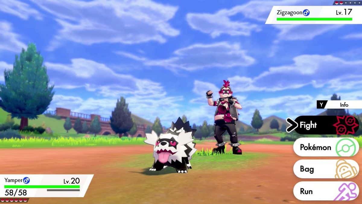 Pokemon Sword And Shield Zigzagoon Locations How To Catch