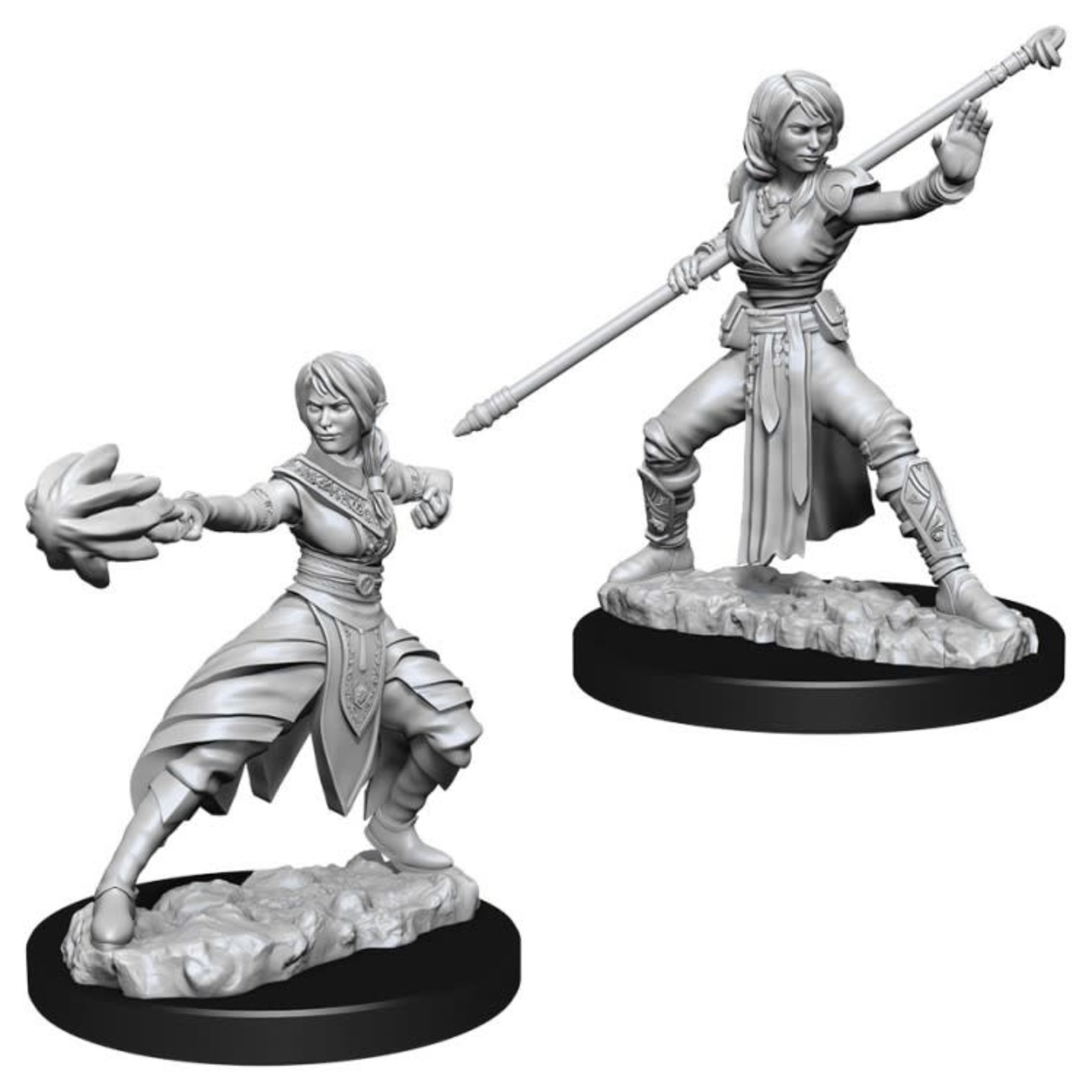 WizKids D&D Minis: Half-Elf Monk, Female (Wave 10 73839)