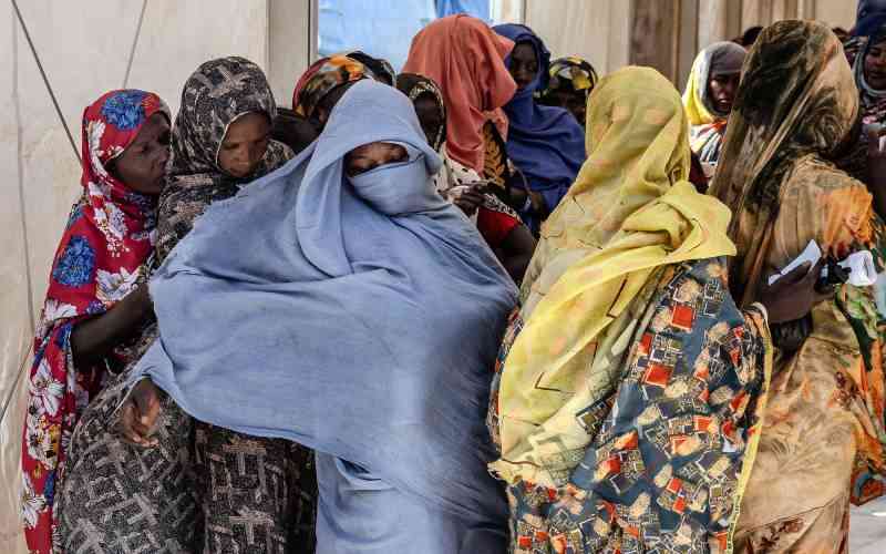 Over 550 Sudanese women reported rape by paramilitaries during war: official