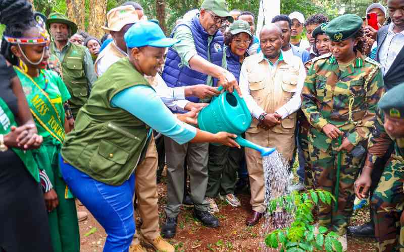 Boost for environment as many plant trees on Mazingira Day