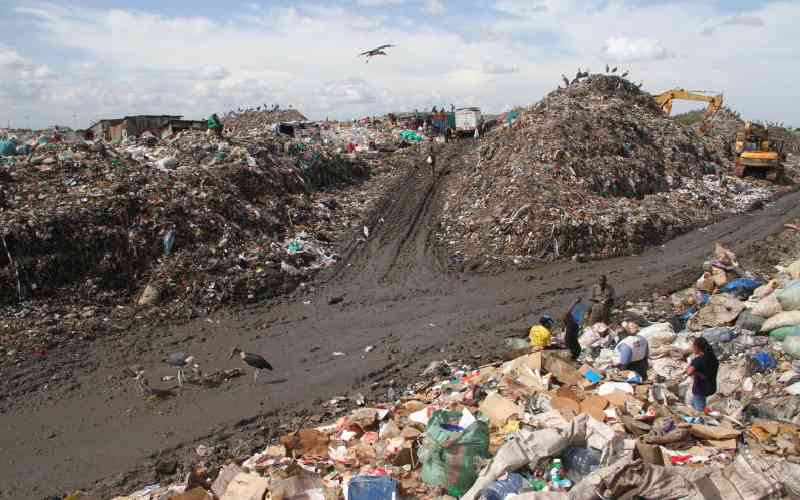 Counties blamed for failure to adopt waste management plants