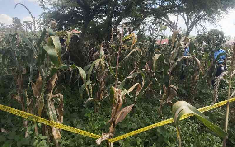 Puzzle of MKU student found murdered in Nakuru