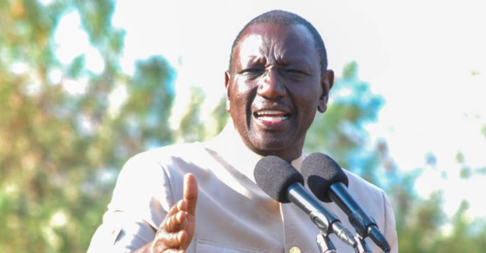 Ruto appoints committee to review university funding model