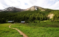 Path to the forest houses wallpaper 1920x1200 jpg