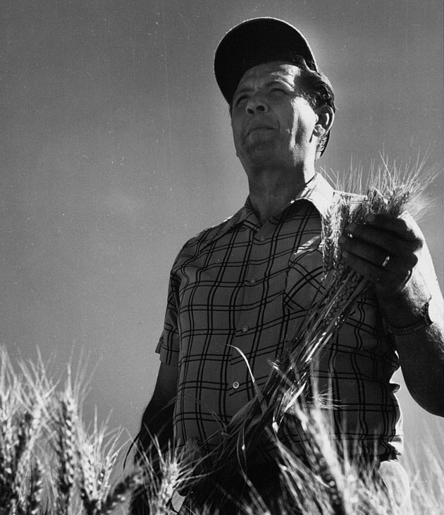 Norman Borlaug