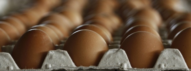 eggs615.jpg