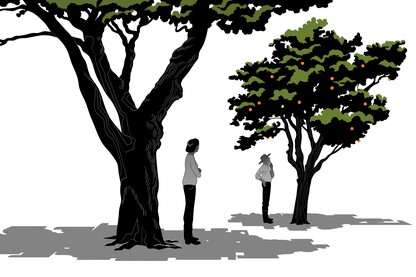 A man considering a tree while a woman stands a bit away from him