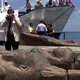 Statues recovered in Aboukir Bay on Egypt's northern coast