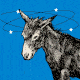 A photo of a donkey with stars spinning around its head