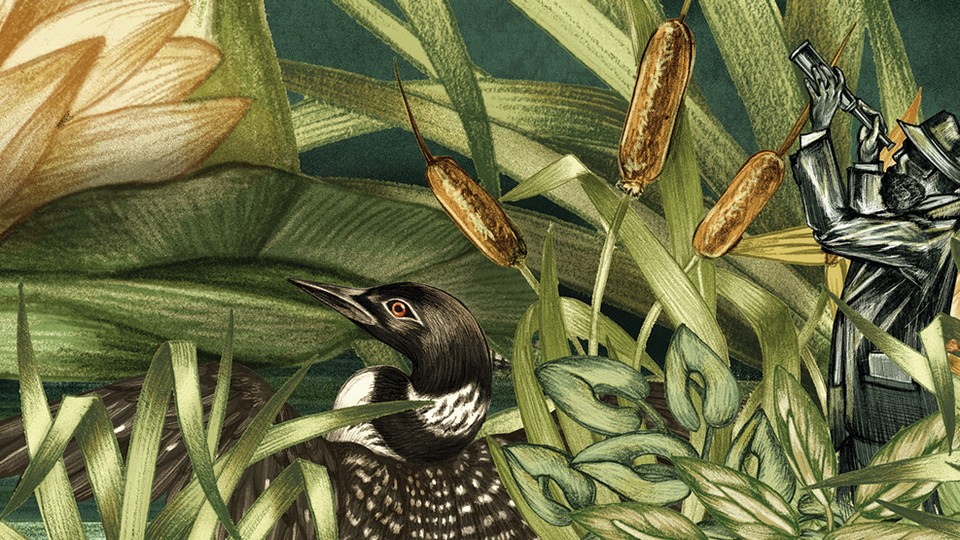 Greenery with various animals—a frog, a bird, a bug—and a tiny man looking through a telescope