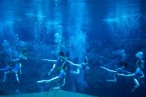 syncrhonized swimmers at the Weeki Wachee Mermaid Show