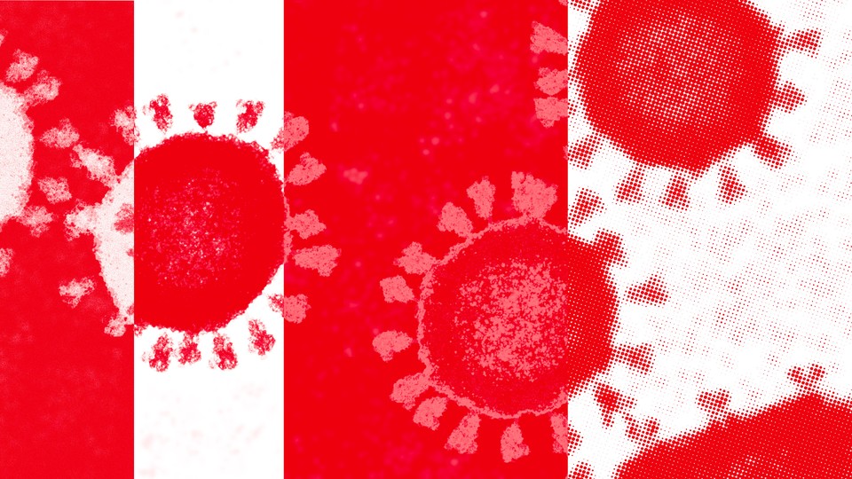 red and white art of virus particles
