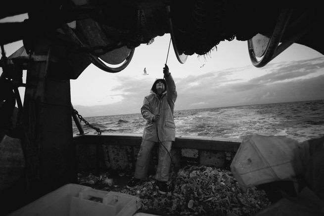 A fisher stands on a pile of fish