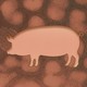 a pig silhouetted against a backdrop of flu viruses