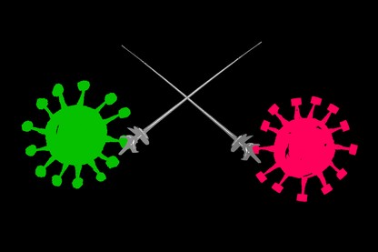 Two coronaviruses with different spikes fencing