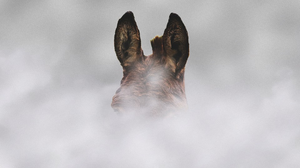 A photograph of the top of a brown donkey's head peeking out from a cloud of smoke