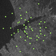 Green dots spread over a satellite view of Ukraine.
