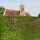 a trimmed hedge covering a view of a house