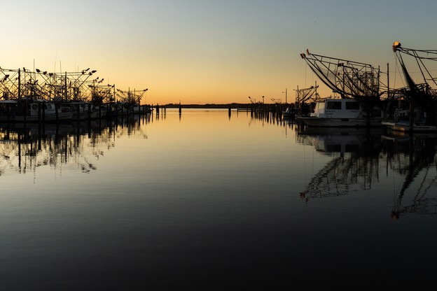 Buras Boat Harbor, in Buras, Louisiana