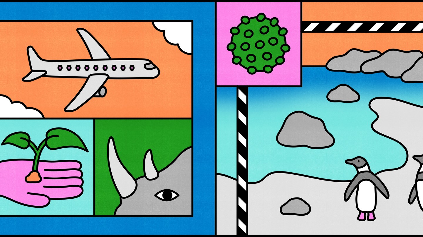 A tiled illustration of a plane, a plant, a rhino, penguins, and a coronavirus