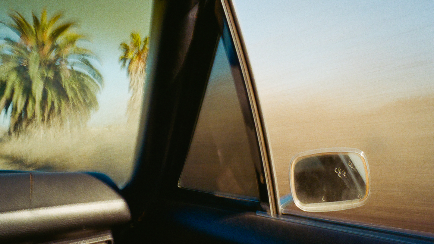 photo looking out of car window with rear-view mirror and palm trees