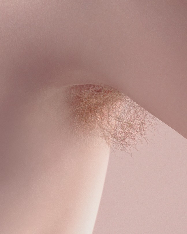 photo of pale torso and underarm with reddish-brown hair