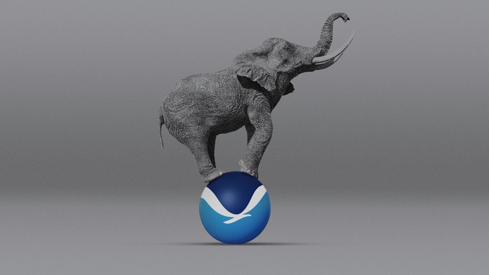 An elephant balancing atop a ball covered with the NOAA logo, its trunk raised in the air