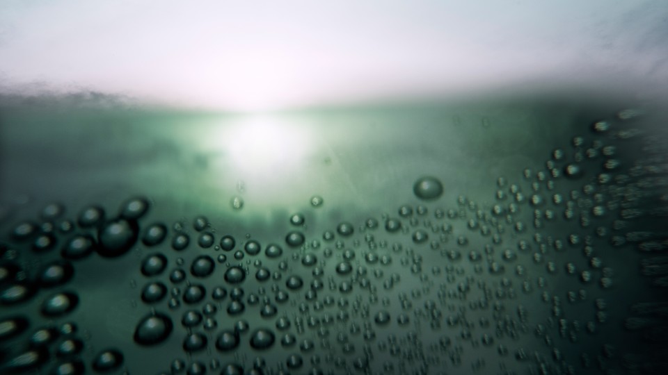 A close-up photo of droplets of water