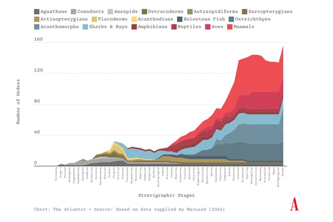 graph showing the prevalence for different types of organisms in different strata of rock