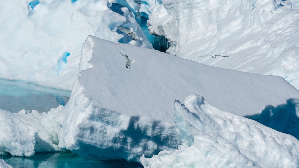 An ice shelf gleams bright white in the sunshine on the Weddell Sea, off the coast of Antarctica