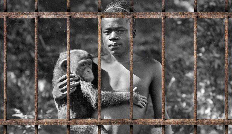 ota benga congo teen exhibited in zoo