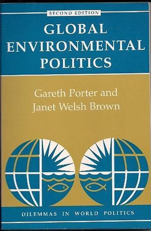 Global Environmental Politics: Second Edition by Gareth Porter, Janet Welsh Brown