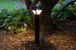 Close-up of a lit Ring Solar Pathlight, installed in a garden setting.