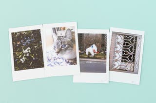 Four instant photos taken with the Instax Mini Evo.