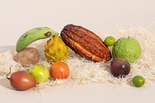 A variety of fruit in different shapes, colors, and sizes from the Miami Fruit box are nestled among straw-like packaging.