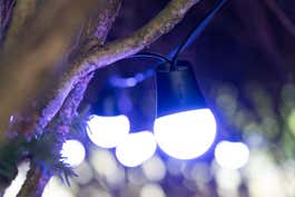 A close up of the Govee Outdoor String Lights strung on a tree branch.