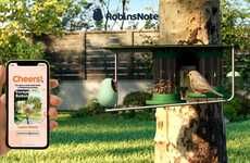 AI-Enhanced Bird Feeders