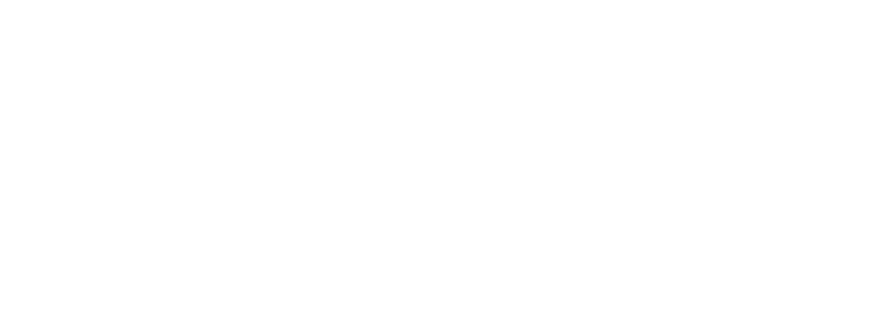 USLS White Logo