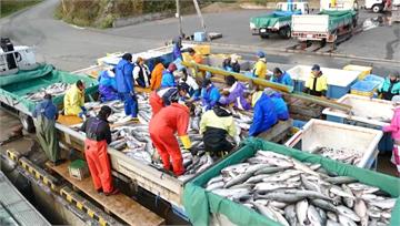 福島5縣食品進口解禁　消基會反對：潛在風險高