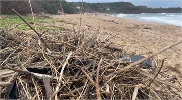 白沙灣美景變了 墾管處：海浪帶來漂流物